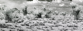Mojave Storm in Infrared